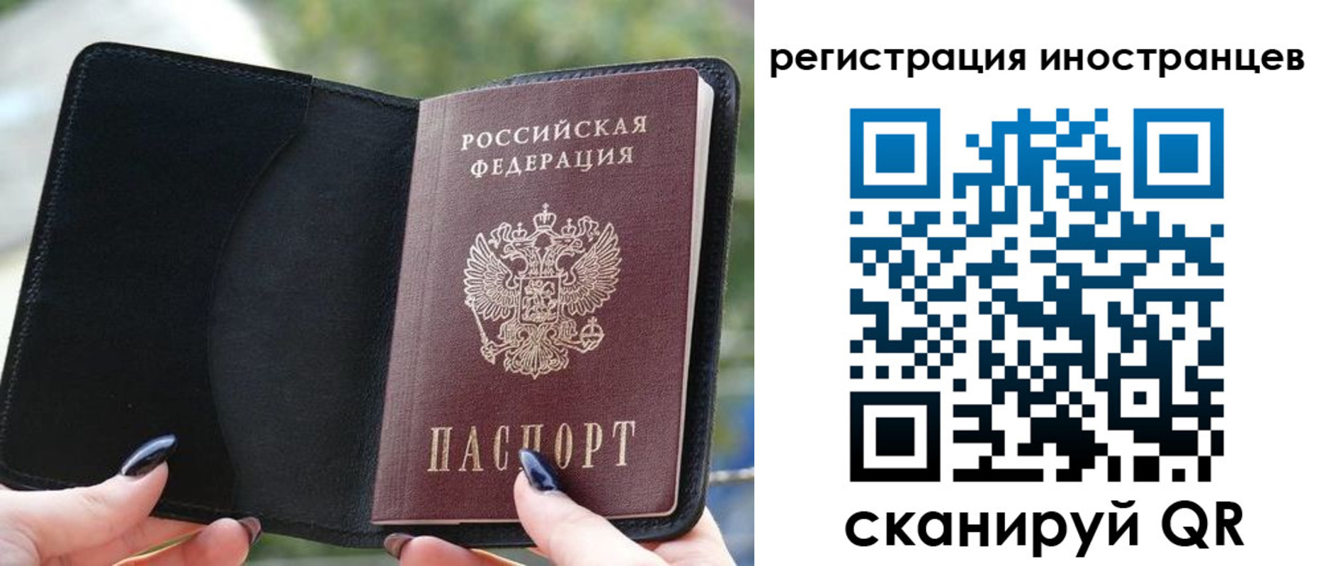 найти адрес прописки в Гвардейске